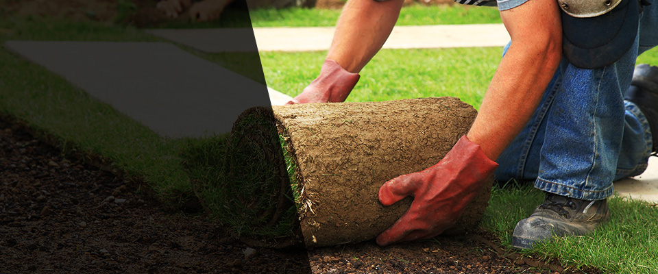 Northford Landscapers